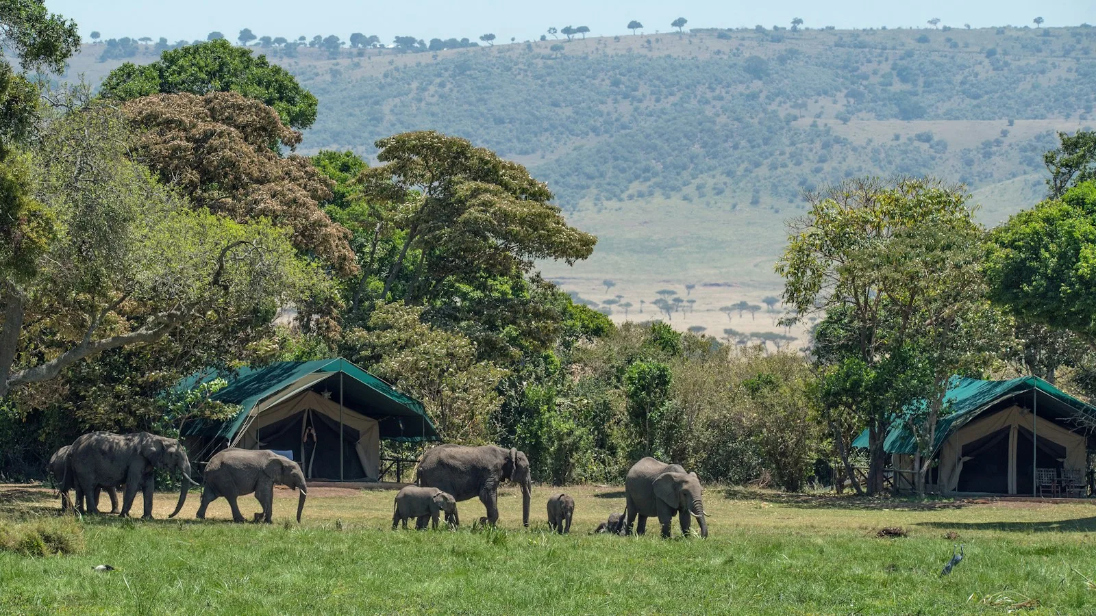 L'hébergement : du camping au lodge de luxe
