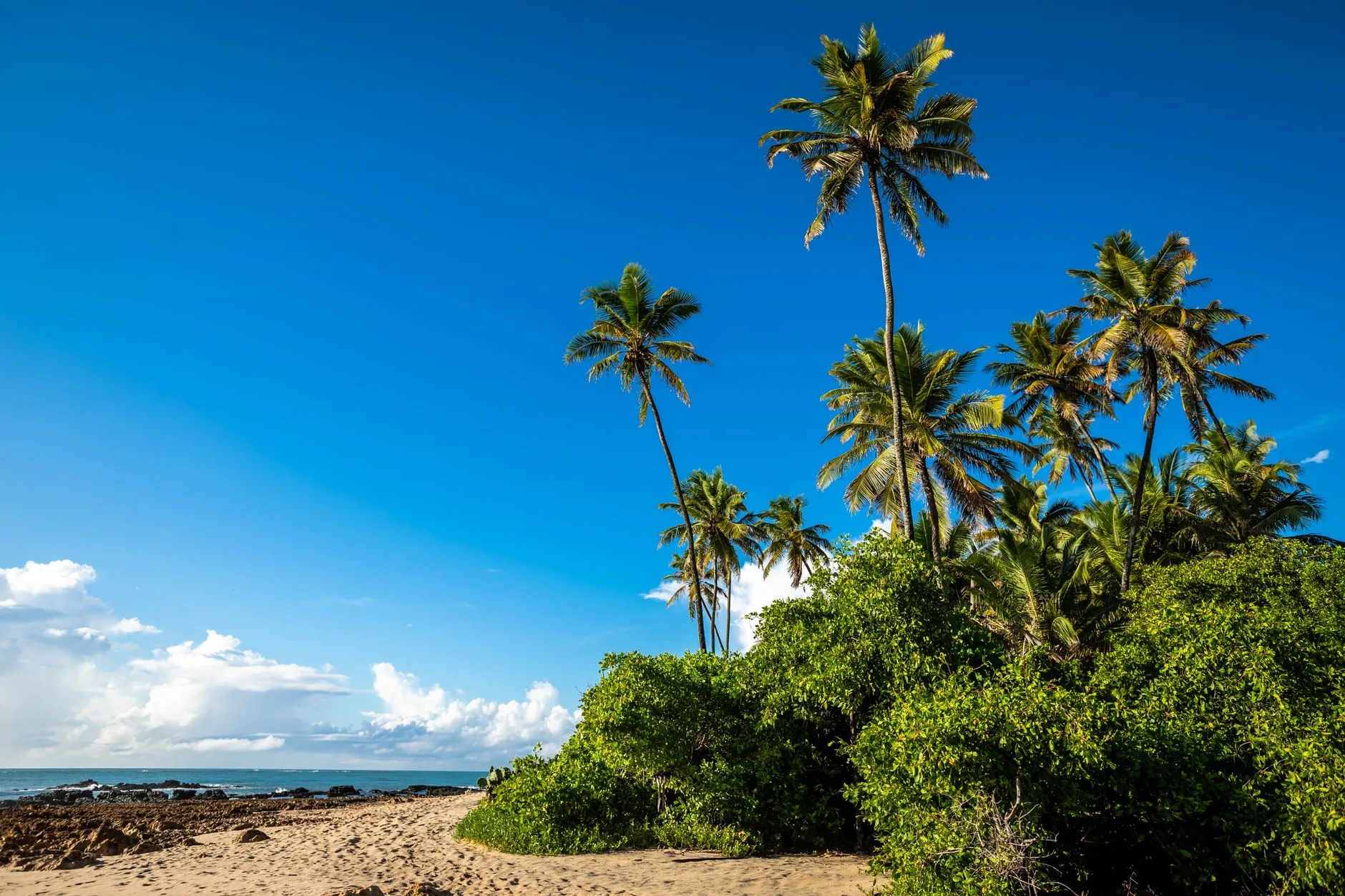 Plage de sable clair bordée de cocotiers à Diani Beach, Kenya