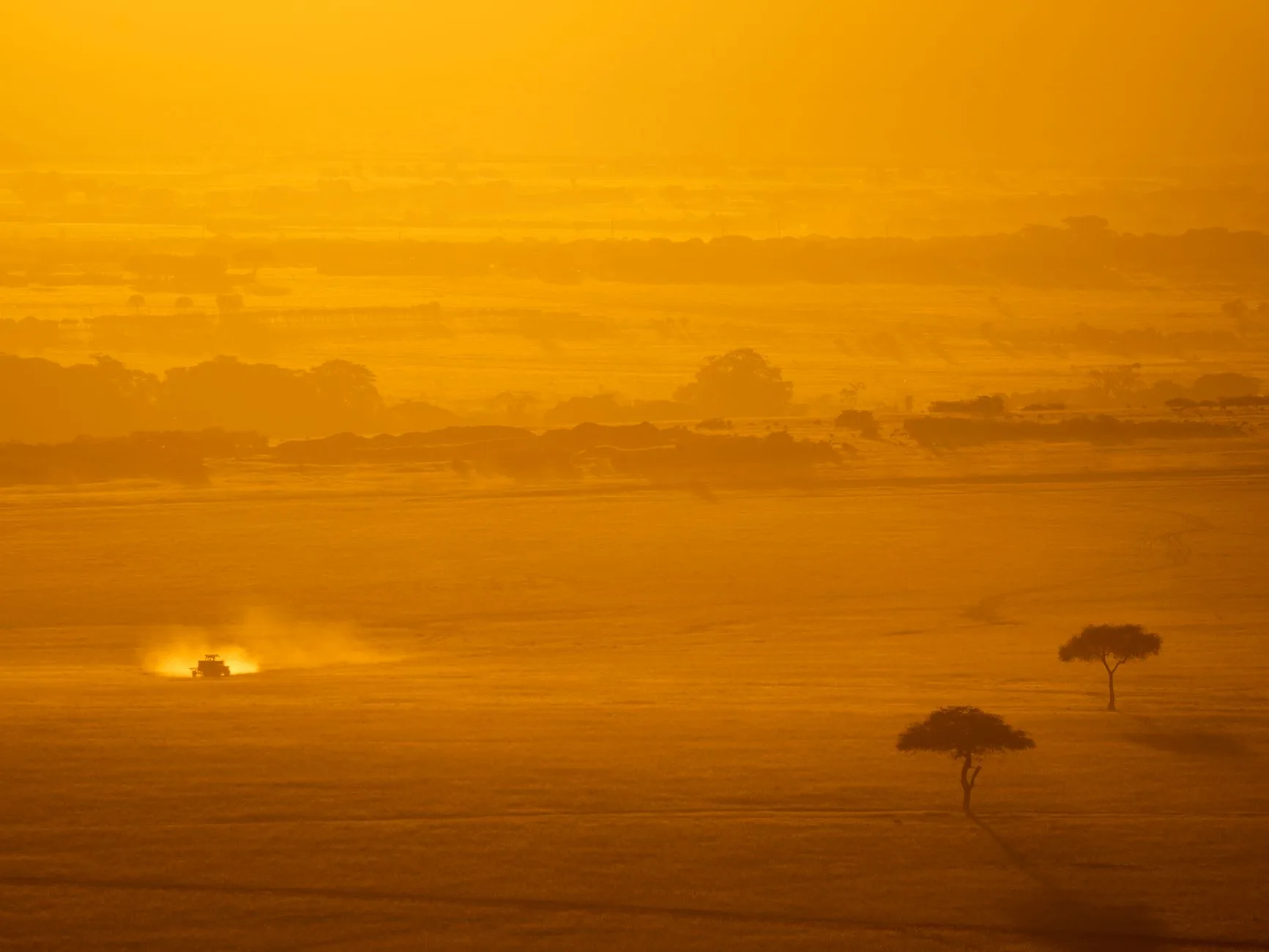 Savane dorée du Kenya au coucher du soleil
