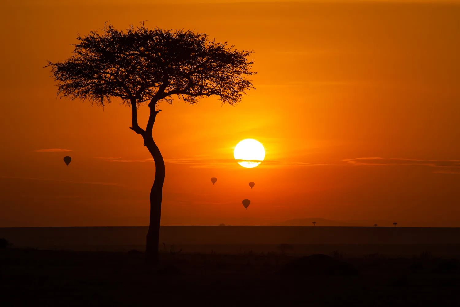 Les incontournables du Kenya