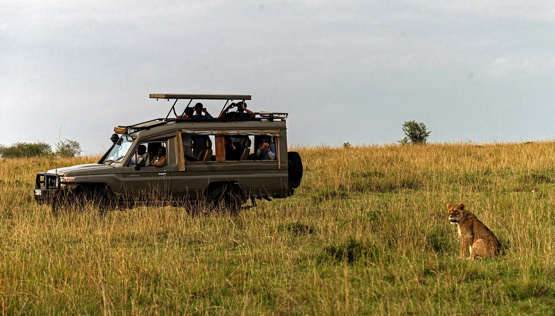 Le Masai Mara en bref