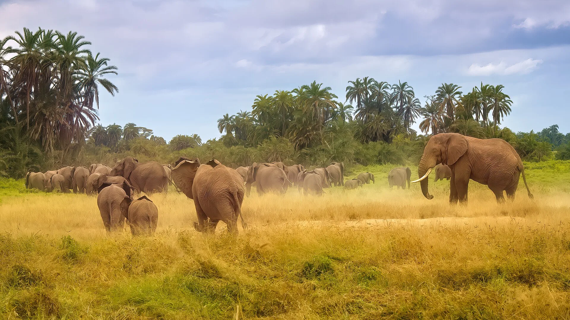 Amboseli : dormir face au Kilimandjaro