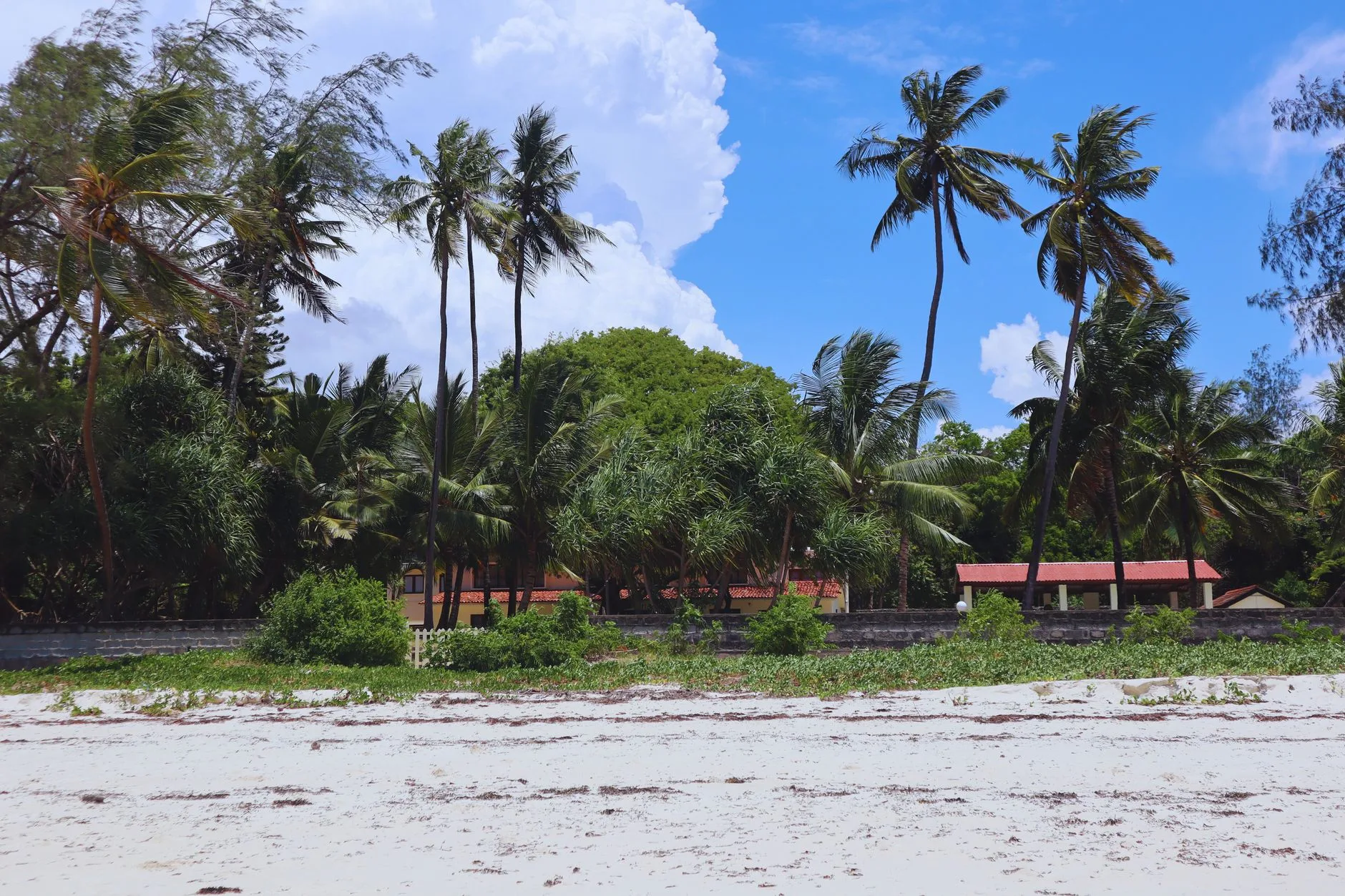 Diani Beach : l'hébergement balnéaire après le safari
